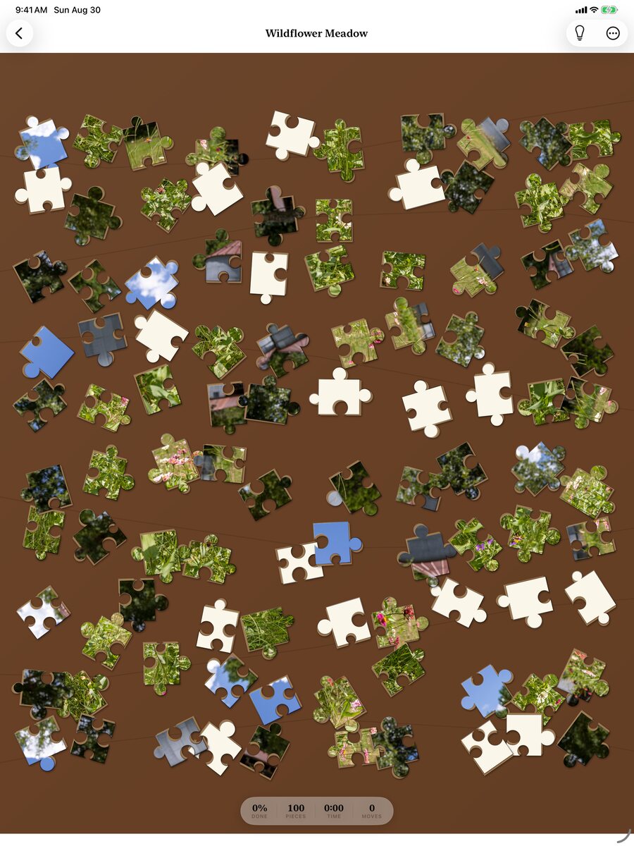 PuzzlePeace on iPad, showing a large jigsaw puzzle board with far more room to work