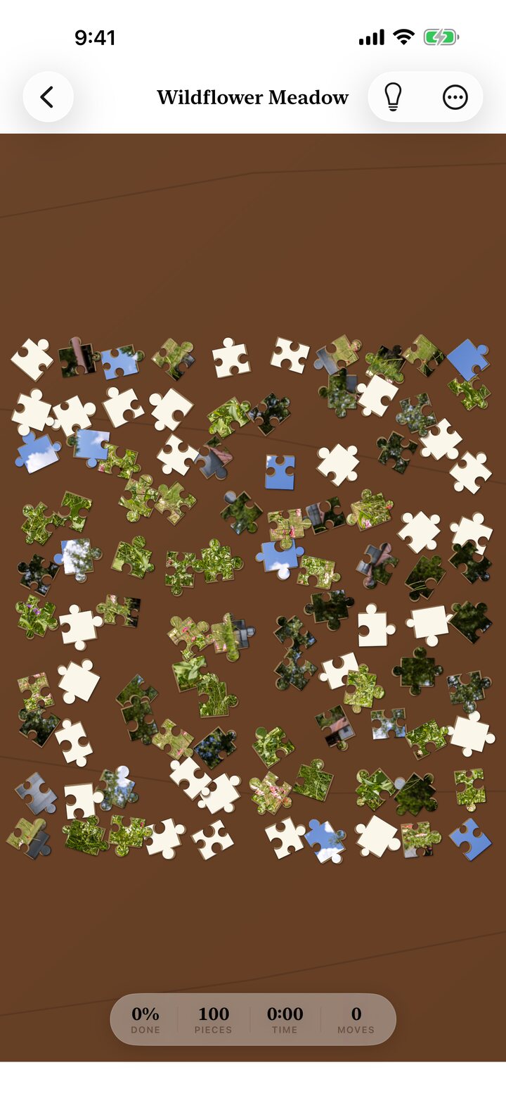 PuzzlePeace's board screen: a jumbled jigsaw puzzle scattered across a wooden tabletop
